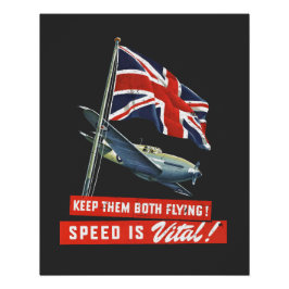 Keep Them Both Flying! Perfect Poster