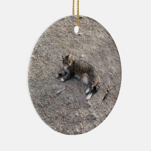 Keepomwille Ornament: Tabby Kat met witte inhoud Keramisch Ornament (Rechts)