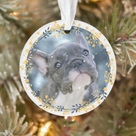 Keepsake Baby's or Pet's First Chanoeka Foto Ornament