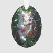 Keepsake Familie Kat Foto Ornament (achterkant)