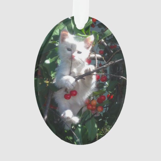 Keepsake Familie Kat Foto Ornament (achterkant)