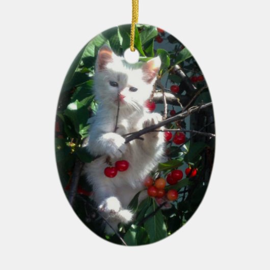 Keepsake Family Cat 1 Sided Photo Keramisch Ornament (Voorkant)