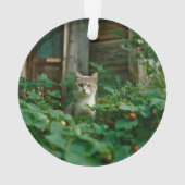Keepsake Family Cat 2 Sided Photo Ornament (achterkant)