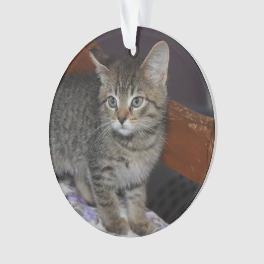 Keepsake Family Cat 2 Sided Photo Ornament (voorkant)