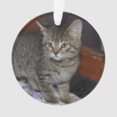 Keepsake Family Cat 2 Sided Photo Ornament (voorkant)