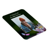 Keepsake Memorial Dragonfly Lotus Flower Magneet (Rechterzijde)