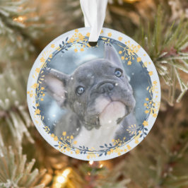 Keepsake Pet Foto + Jaar Chanoeka Herdenking Ornament