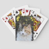 Keepsake Voeg uw foto uitstekende kwaliteit Kat Pokerkaarten (Achterkant)