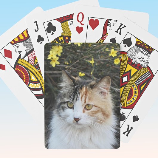 Keepsake Voeg uw foto uitstekende kwaliteit Kat Pokerkaarten