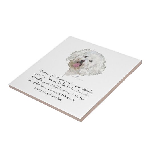 Keepslag, Mannelijke hond Tegeltje (Zijkant)