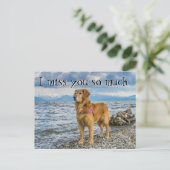 Keer je terug op het strand. briefkaart (Staand voorkant)