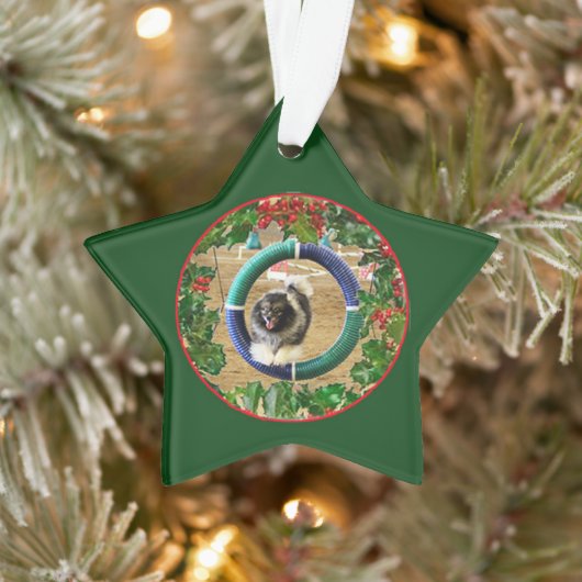 Kees Agility Xmas ornament 2 (Boom)