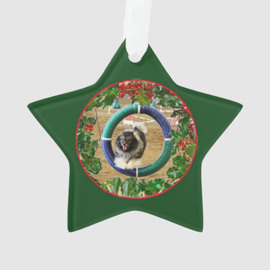 Kees Agility Xmas ornament 2 (achterkant)