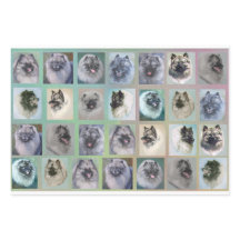 Kees koppen inpakpapier