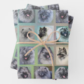 Kees koppen inpakpapier vel (In situ)