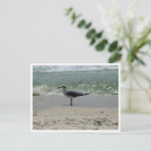 Kees – Kust Natuurfotografie Briefkaart (Staand voorkant)