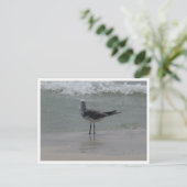 Kees – Kust Natuurfotografie Briefkaart (Staand voorkant)