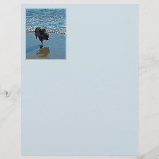 Keesdoorn Ballet-foto - Cute Original Dog Art (Voorkant)