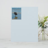 Keesdoorn Ballet-foto - Cute Original Dog Art (Staand voorkant)