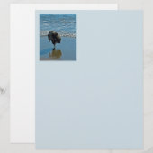 Keesdoorn Ballet-foto - Cute Original Dog Art (Voorkant / Achterkant)