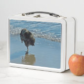 Keesdoorn Ballet-foto - Cute Original Dog Art (In situ)