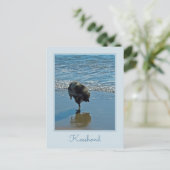 Keesdoorn Ballet-foto - Cute Original Dog Art Briefkaart (Staand voorkant)