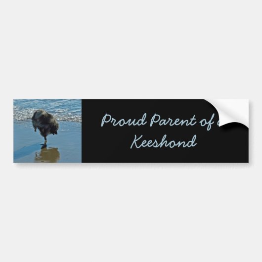 Keesdoorn Ballet-foto - Cute Original Dog Art Bumpersticker (Voorkant)