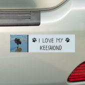 Keesdoorn Ballet-foto - Cute Original Dog Art Bumpersticker (Op auto)