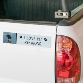 Keesdoorn Ballet-foto - Cute Original Dog Art Bumpersticker (Op Truck)