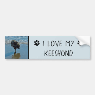 Keesdoorn Ballet-foto - Cute Original Dog Art Bumpersticker