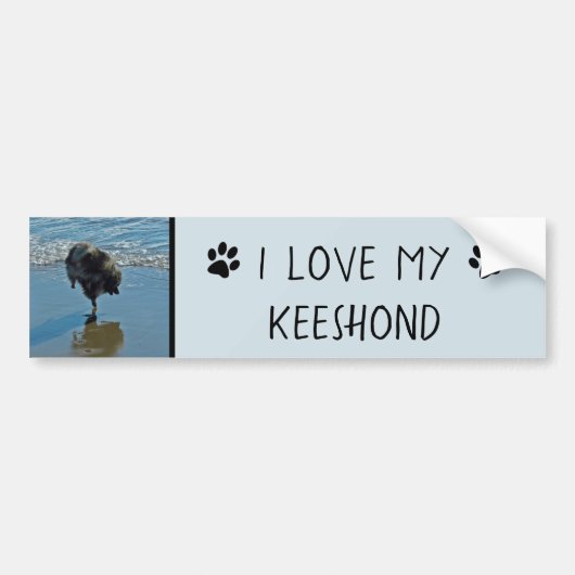 Keesdoorn Ballet-foto - Cute Original Dog Art Bumpersticker (Voorkant)