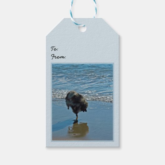 Keesdoorn Ballet-foto - Cute Original Dog Art Cadeaulabel (Voorkant)