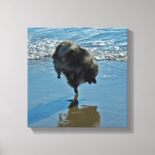 Keesdoorn Ballet-foto - Cute Original Dog Art Canvas Afdruk