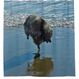 Keesdoorn Ballet-foto - Cute Original Dog Art Douchegordijn