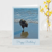 Keesdoorn Ballet-foto - Cute Original Dog Art Kaart (Gele Bloem)