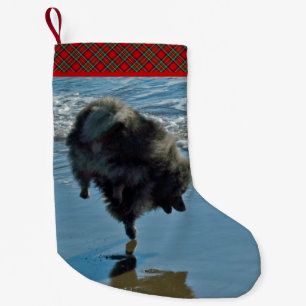 Keesdoorn Ballet-foto - Cute Original Dog Art Kleine Kerstsok