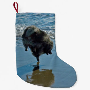Keesdoorn Ballet-foto - Cute Original Dog Art Kleine Kerstsok