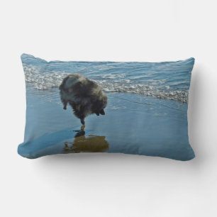 Keesdoorn Ballet-foto - Cute Original Dog Art Kussen