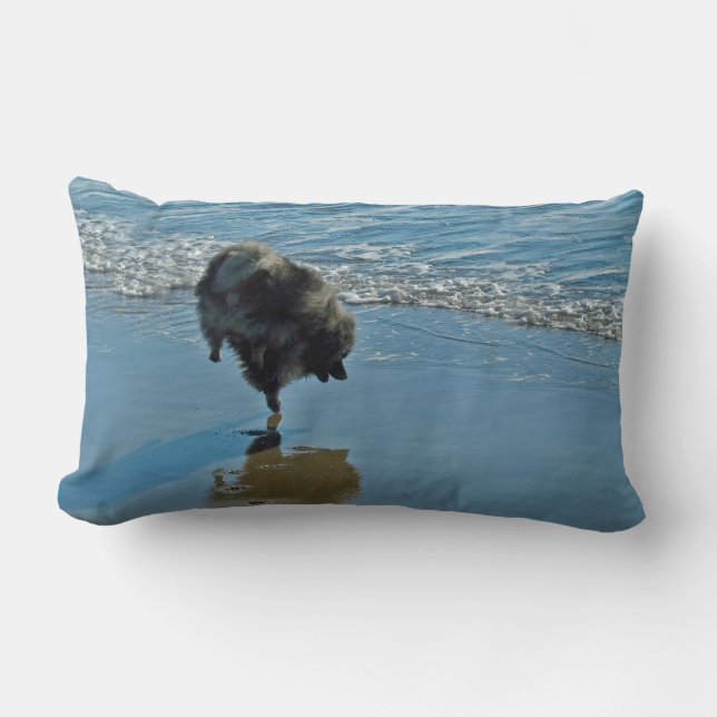 Keesdoorn Ballet-foto - Cute Original Dog Art Kussen (Voorkant)