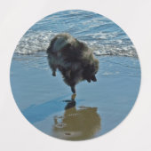 Keesdoorn Ballet-foto - Cute Original Dog Art Labels (Design 2)