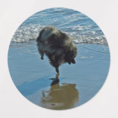 Keesdoorn Ballet-foto - Cute Original Dog Art Labels (Design 1)