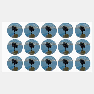 Keesdoorn Ballet-foto - Cute Original Dog Art Labels