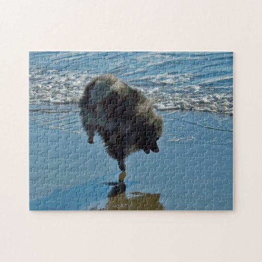 Keesdoorn Ballet-foto - Cute Original Dog Art Legpuzzel (Horizontaal)