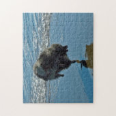 Keesdoorn Ballet-foto - Cute Original Dog Art Legpuzzel (Verticaal)