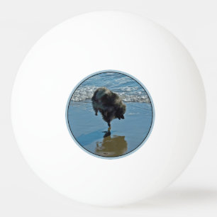 Keesdoorn Ballet-foto - Cute Original Dog Art Pingpongbal