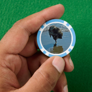 Keesdoorn Ballet-foto - Cute Original Dog Art Poker Chips