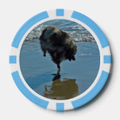 Keesdoorn Ballet-foto - Cute Original Dog Art Poker Chips (Voorkant)