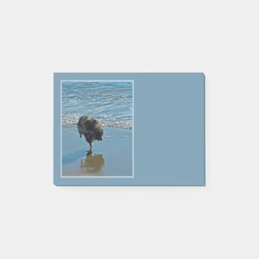 Keesdoorn Ballet-foto - Cute Original Dog Art Post-it® Notes (Voorkant)