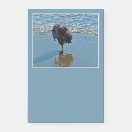 Keesdoorn Ballet-foto - Cute Original Dog Art Post-it® Notes (Voorkant)