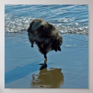 Keesdoorn Ballet-foto - Cute Original Dog Art Poster